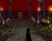 2007-05-15 Zeremonie der Drow 012.jpg
